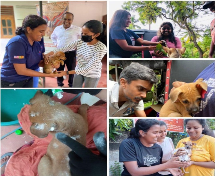 UNITING HEARTS AND CARING SOULS